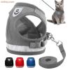 Leash Set Reflective Cat Strap