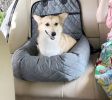 Pet Life 'Pawtrol' Dual Converting Travel Safety Carseat and Pet Bed